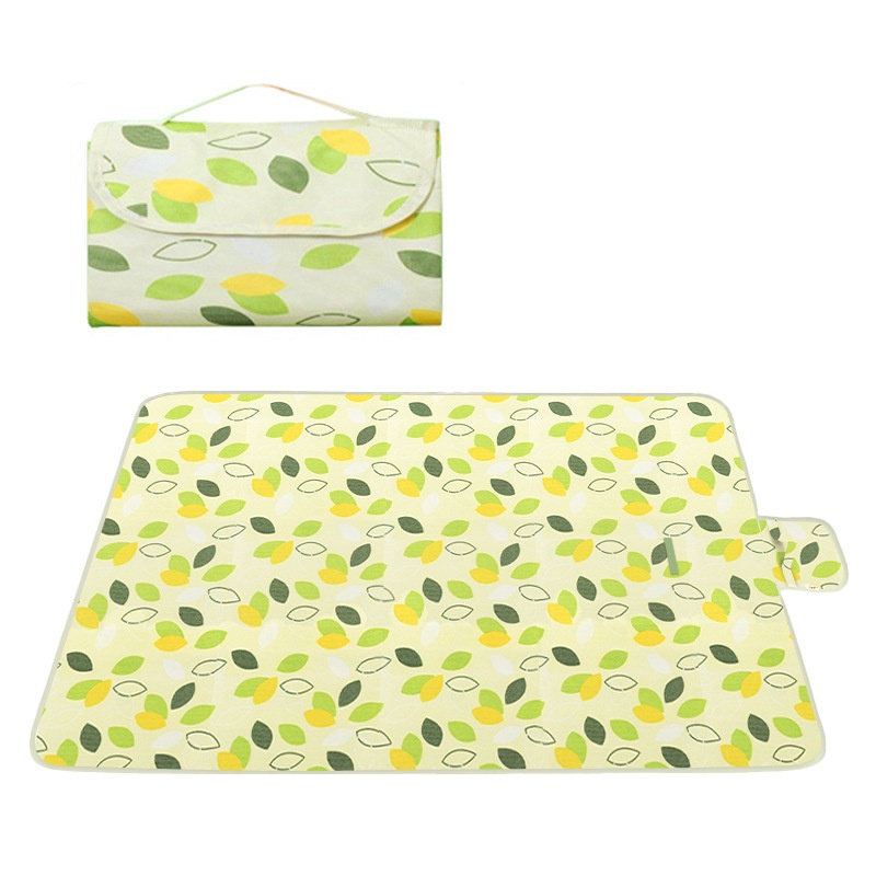 200x200cm Extra Grote Picknick - Outdoor Camping Mat recensie en prijs