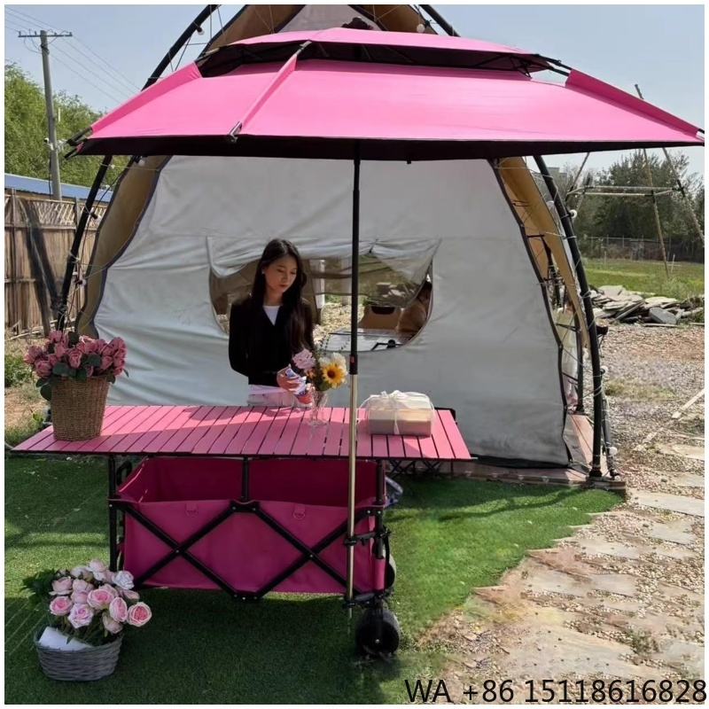 420L Hoge Kwaliteit 4-Positie  - Camp Table Folding recensie en prijs